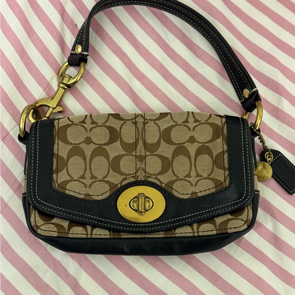 Elegant Black and Brown Designer Shoulder Bag